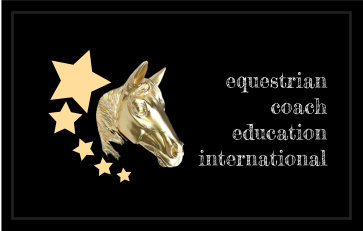 Business Card - TECEI - design by BDS